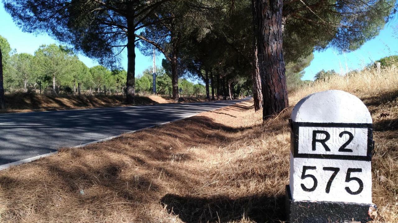 Route 2 Torrao Ξενοδοχείο Εξωτερικό φωτογραφία